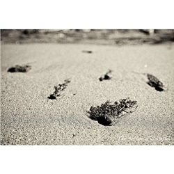 dailyPhoto25